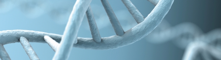 Analítica y Ensayos - Aislamiento de Ácidos Nucleicos