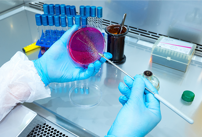Clean and controlled environments in the pharmaceutical industry