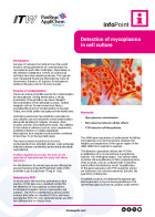 IP-024 - Mycoplasma detection in cell culture