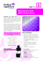 IP-034 - Bicinchoninic Acid (BCA) Protein Assay