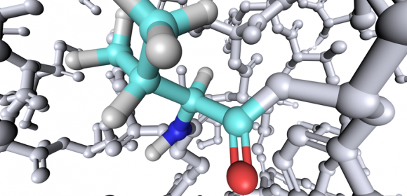 Amino Acids