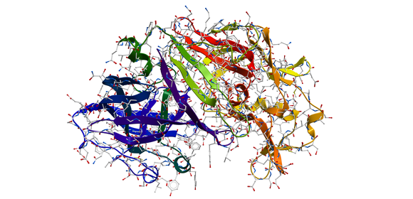 Enzymes for NA Biochemistry