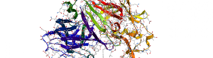 Enzymes for NA Biochemistry