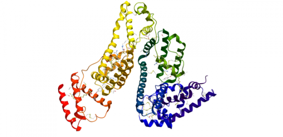 Assays, Inhibitors & Supplements