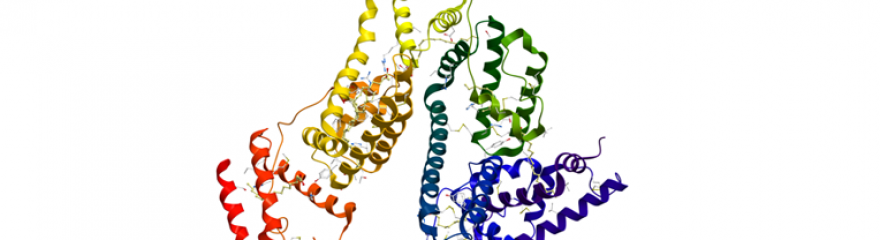 Assays, Inhibitoren & Supplemente