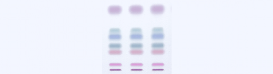 TLC (Thin Layer Chromatography)