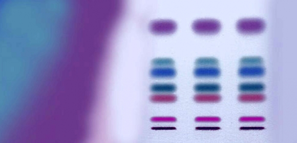 TLC Visualization Reagents for Reaction Monitoring/ Purification & Separation Monitoring